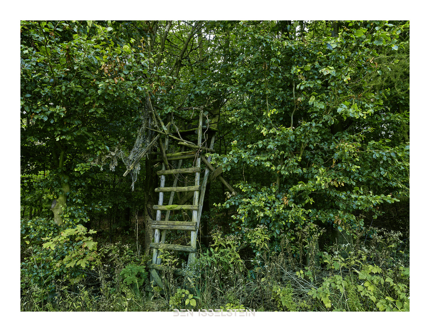 Ansitz oder Kanzel im Wald