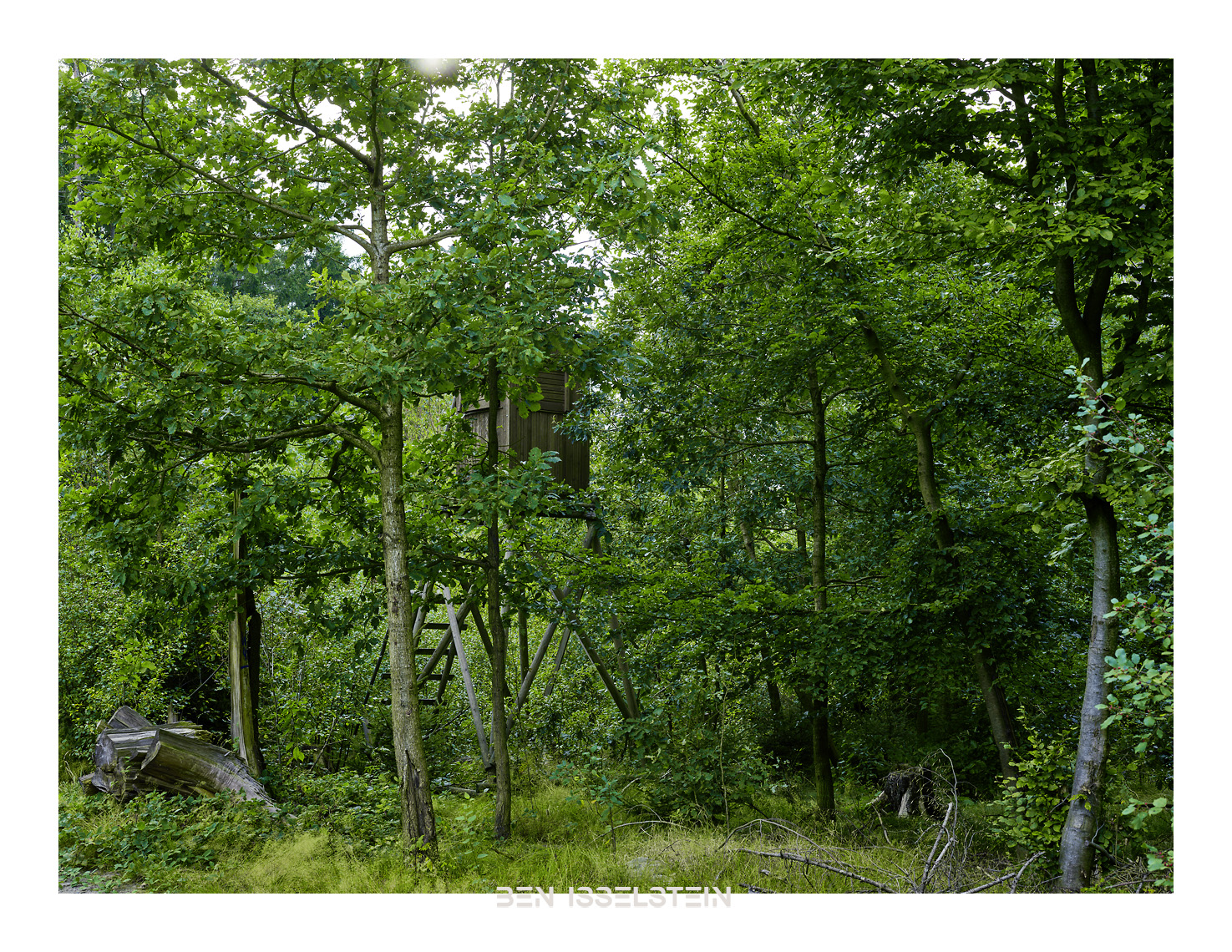 Jagd Hochsitz im Wald