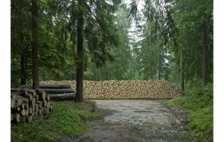 Forstwirtschaft Holzproduktion