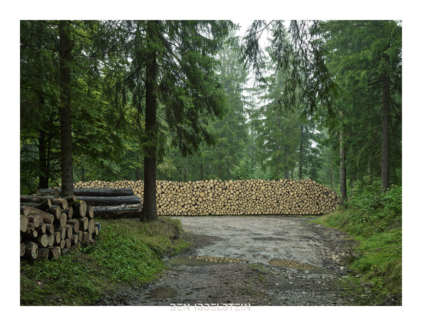 Forstwirtschaft Holzproduktion